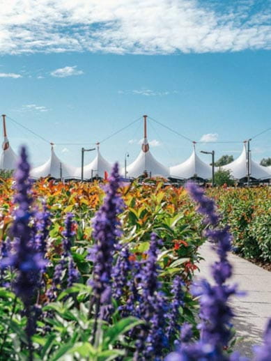 Ashford Designer Shopping Outlet Kent England